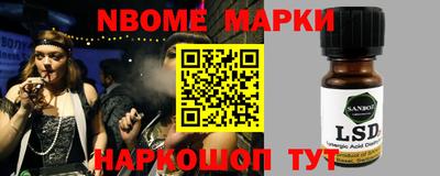 молекула духа Кингисепп