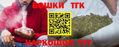 молекула духа Кингисепп