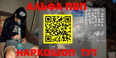 молекула духа Кингисепп