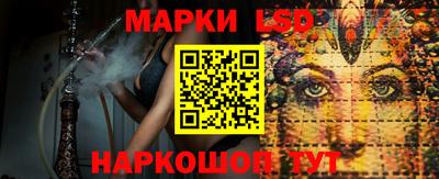 дмт Кимры