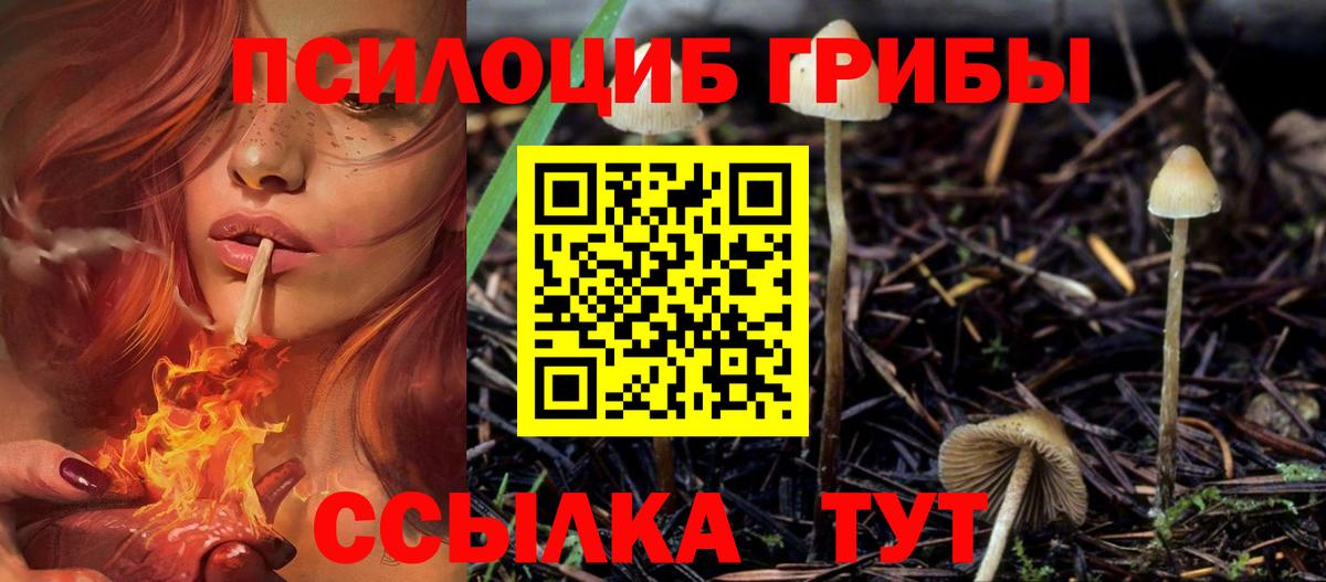 Галлюциногенные грибы GOLDEN TEACHER  Вход с VPN  Кирово-Чепецк 